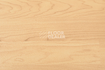 Линолеум Apoluza Sportfloor pvc Wood 4.5 Дерево фото 1 | FLOORDEALER